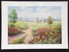 Klatschmohnwiesen ( Dislama ), Kunstdruck 50 x 70 cm