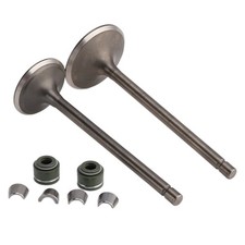 Ventil Set Einlass & Auslass