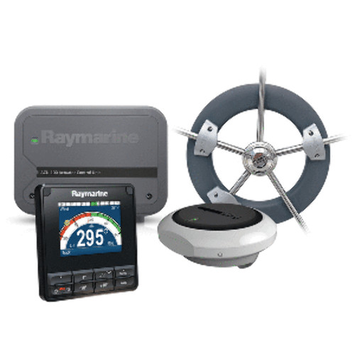 Raymarine 100 wheel - raymarine,