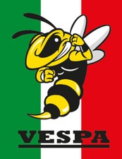 Vespa Emblem Kaskade Aufkleber Logo Italo. Wespe VE-007