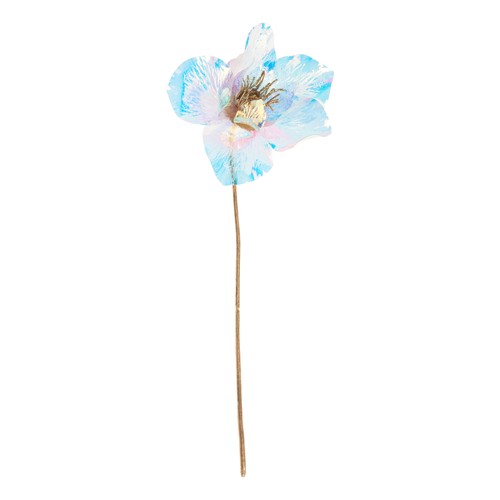 Dpi christrose irisierend l - dpi, christrose,