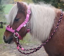 Minishetty trense reithalfter - minishetty,