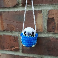 Wellensittich auf Schaukel