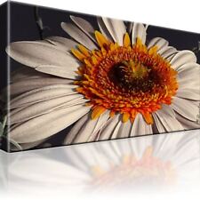 Gerbera Blumen Bild Bilder Leinwand Keilrahmen Wandbild Kunstdruck