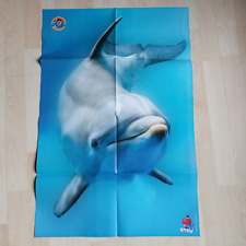 Poster Delfin"Platsch" *