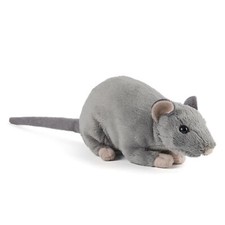 Ratte mit quietscher - ratte,