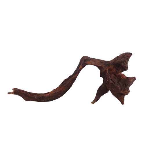 Driftwood flußwurzel - l,
