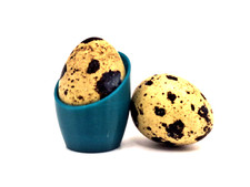 Eierbecher für Wachteleier petrol 3D Druck Egg Cup Quail Wachtelei