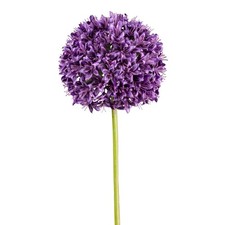 Kunstblume Allium, 2er Set