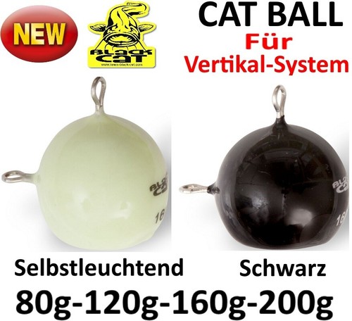 Black cat - black,