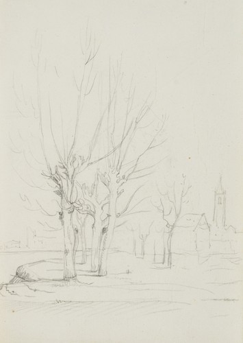 Canella kahle - g.,