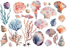 Wandkunst mit Muschelsammlung