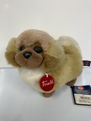 Trudi pekingese hund - trudi,