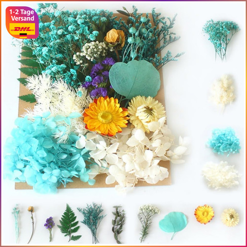 Trockenblumen deko set - trockenblumen,