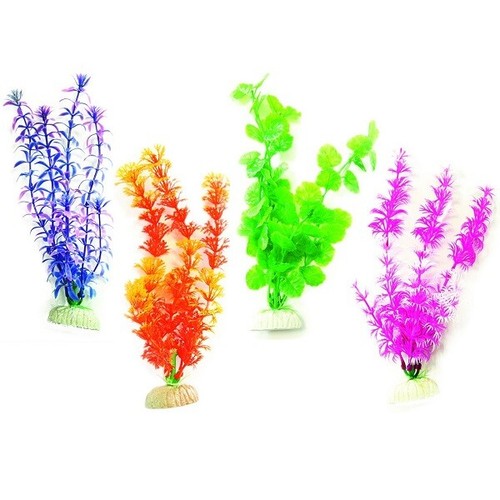Betta budget gemischte - betta,