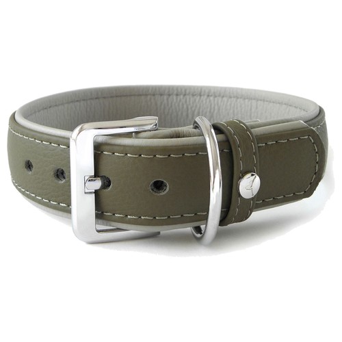 Das lederband hunde - hunde, halsband