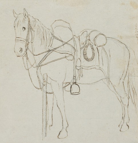 Voltz pferd - j.,