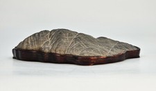 Suiseki aus den Apuanischen