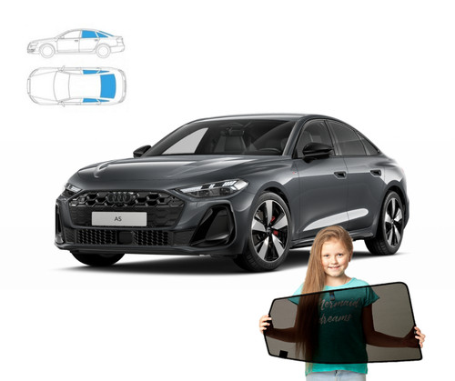 Sonnenschutz für audi - audi, b10