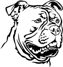 OLD ENGLISH BULLDOG Aufkleber