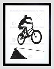 LACKIERUNG SPORT BMX FAHRRAD