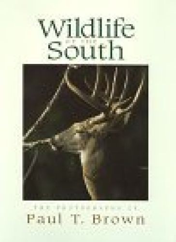 Wildlife the south - of,