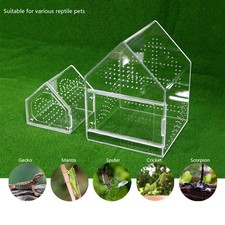 Springende Spinnen Gehege