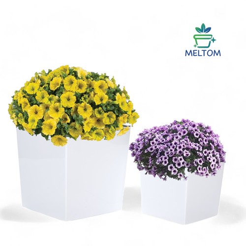 Blumenkübel xxl groß - xxl,