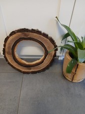 Hohle Nussbaum Baumscheibe ca 30x4cm Holzscheibe Loch Bastelholz Heimwerken DIY