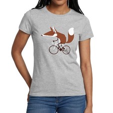 Fuchs Auf Fahrrad Cycling Fox