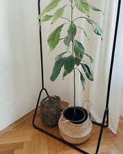 original indische laterne bodenlaterne Windlicht goldfarben metall industrial