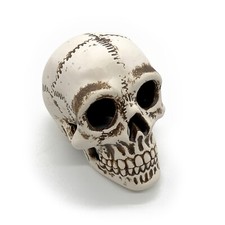 Deko aquarium totenkopf - deko,