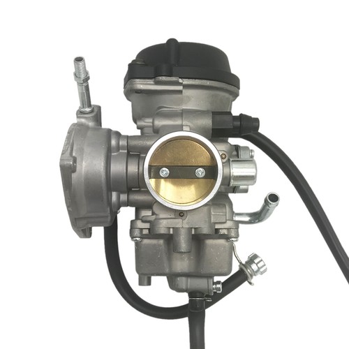Carburetor for arctic - carburetor, cat