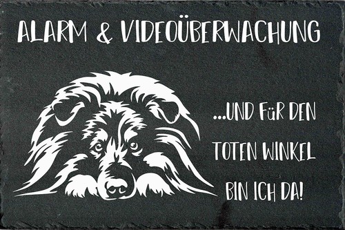 Sheltie hundewarnschild - sheltie,