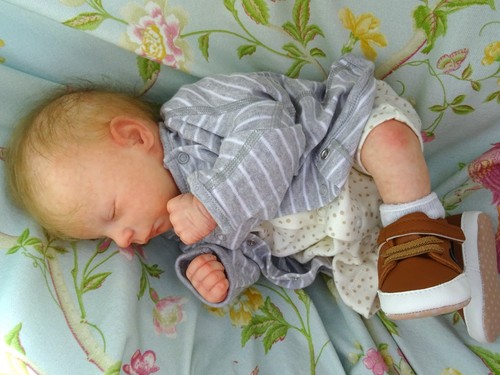 Reborn baby junge cal - baby,