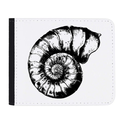 Geldbörse ammonite fossil - geldbörse, fossil"