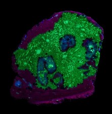 Achat - Cubuk - Türkei -