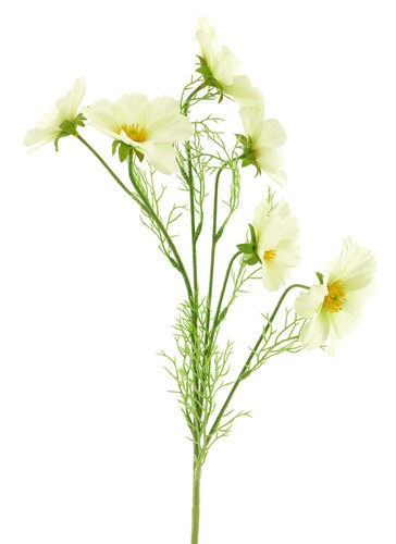 Artplants deko zweig - deko,