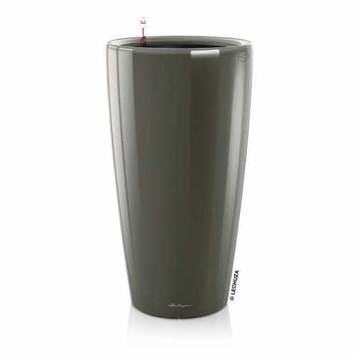 Lechuza rondo premium - rondo,