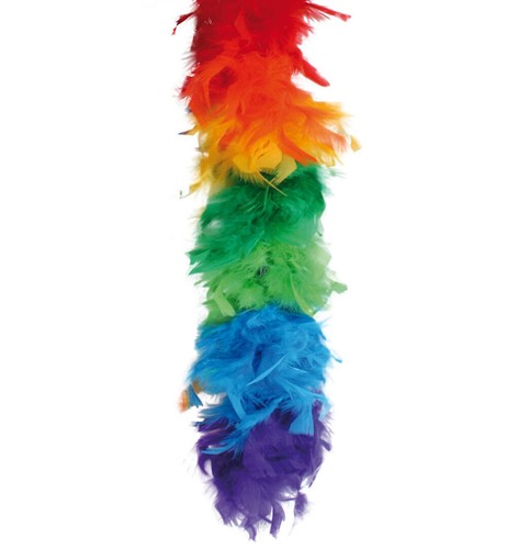 Federboa regenbogen 1 - regenbogen,, 1,80