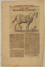 ARABER Pferd + HUND Holzstich auf Orig. Textblatt um 1690 Pferdezucht Dressur 