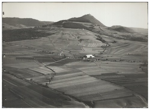 8519 dettingen - zz-8519/,