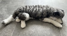 Plüsch Husky-Hund 1 mx42 cmx18 cm - Sehr guter Zustand