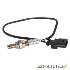 MONITORSONDE NACH KAT