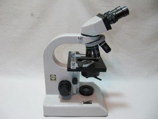 WILL Wilozyt BX300 Hellfeld