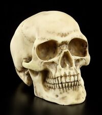 Totenkopf - Menschen Schädel - Figur Deko Totenschädel Skull