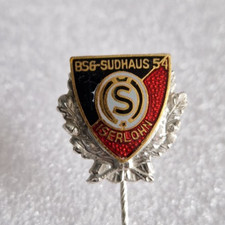 Anstecknadel Ehrennadel BSG