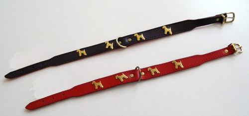 Motiv halsband terrier schwarz - terrier,