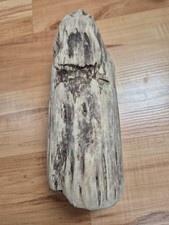Skulptur KLOTZ Stamm Grünlich