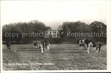 Naarden Huize Flevo Rama Omstreken Viehweide Kü